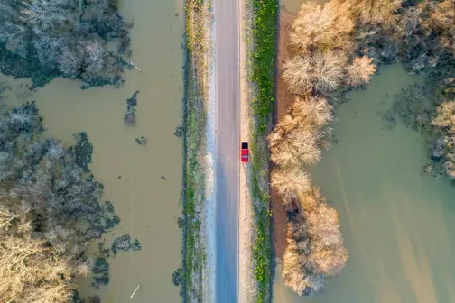 long flood road with green trees