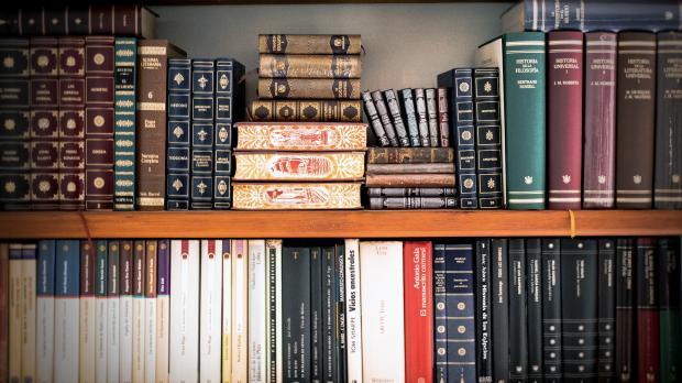 A bookshelf holding a variety of old and modern legal books