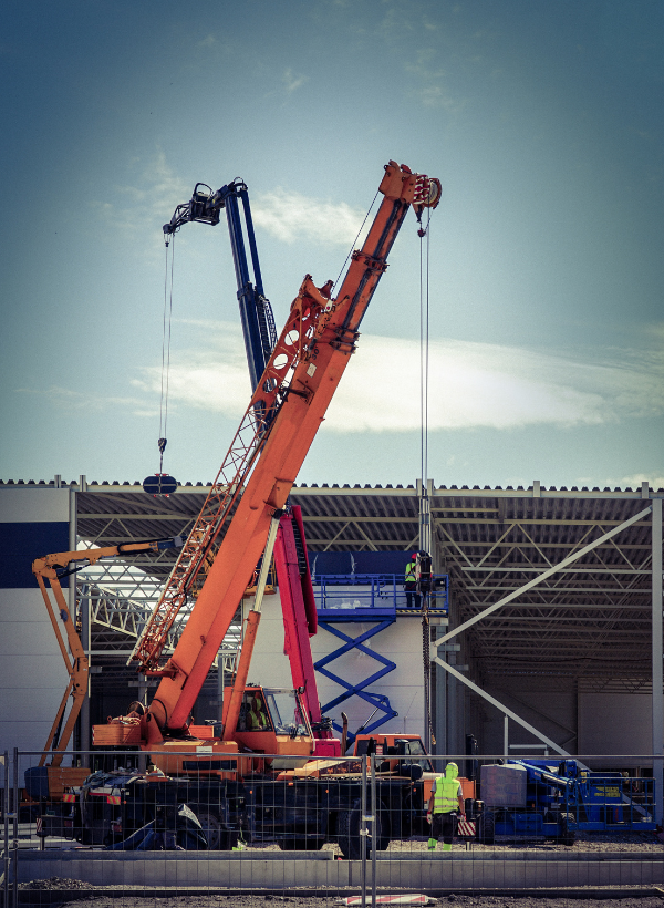 Three different types of cranes