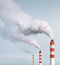 site pollution liability